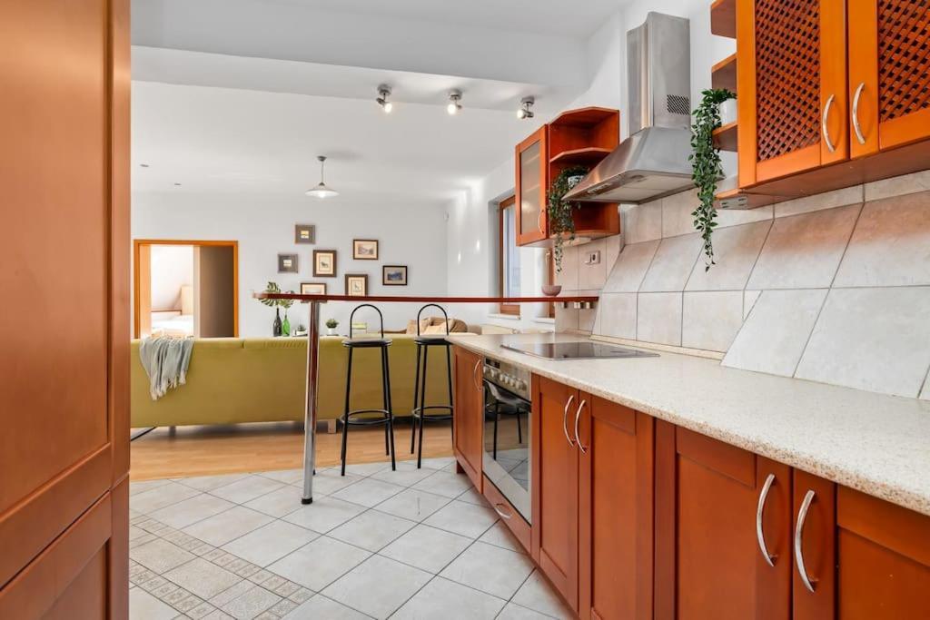 Apartment Primaxarya - Maisonette Right On The Main Square With Breath Taking 360 Views Of Bratislava